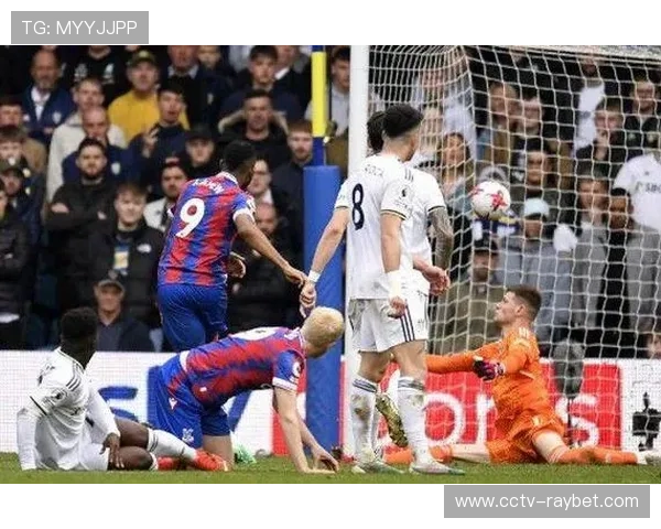 水晶宫申请调整对阵利兹联赛程，因联赛杯日期冲突